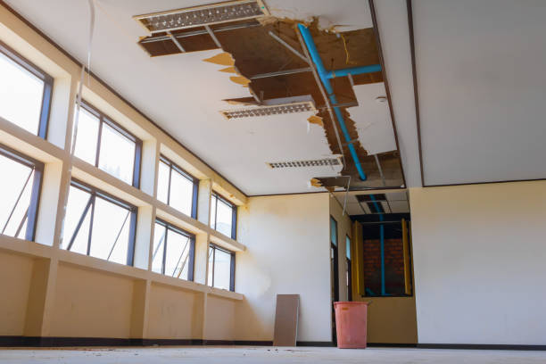 Best Ceiling water damage repair  in Phillipsburg, NJ