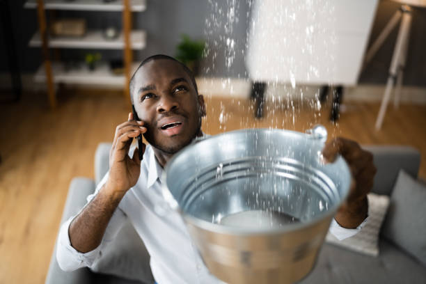 Best Flood restoration services  in Phillipsburg, NJ