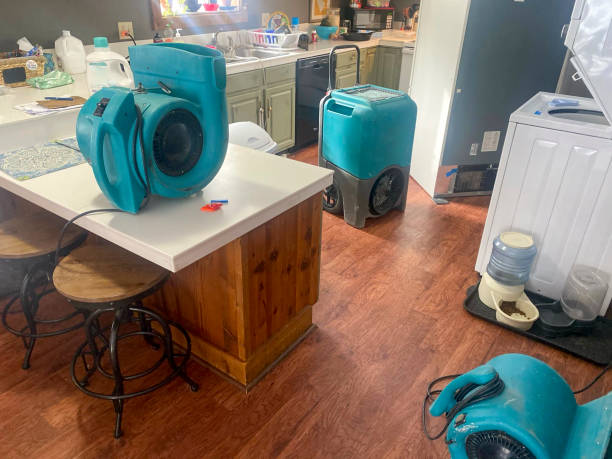 Best Water damage restoration near me  in Phillipsburg, NJ
