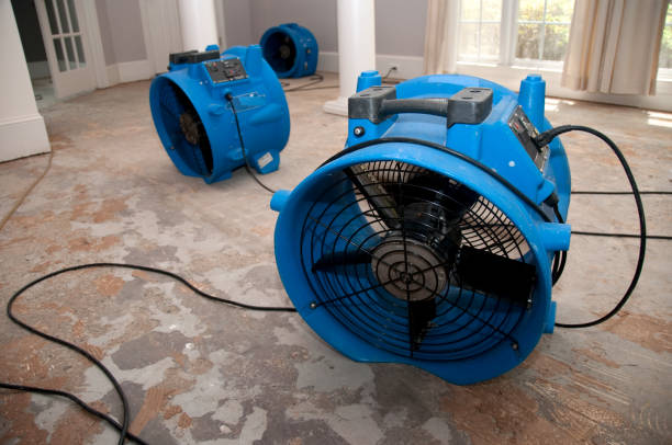  Phillipsburg, NJ Water damage restoration Pros