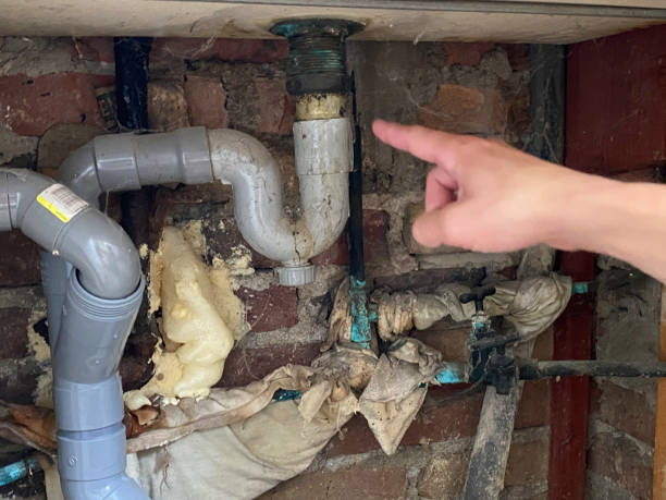 Best Fire Damage Restoration  in Phillipsburg, NJ