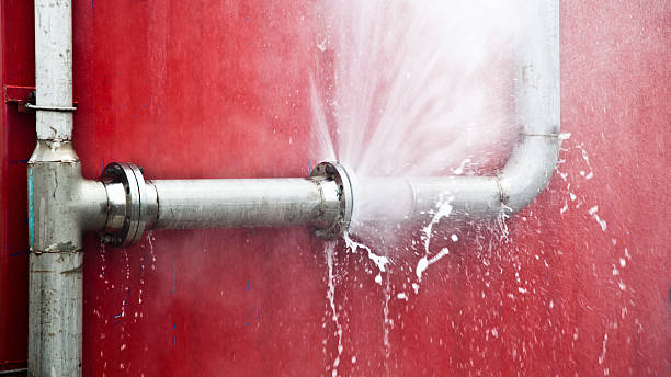 Best Carpet water damage restoration  in Phillipsburg, NJ